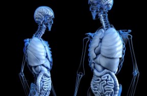 건강보험 환급금 조회 7