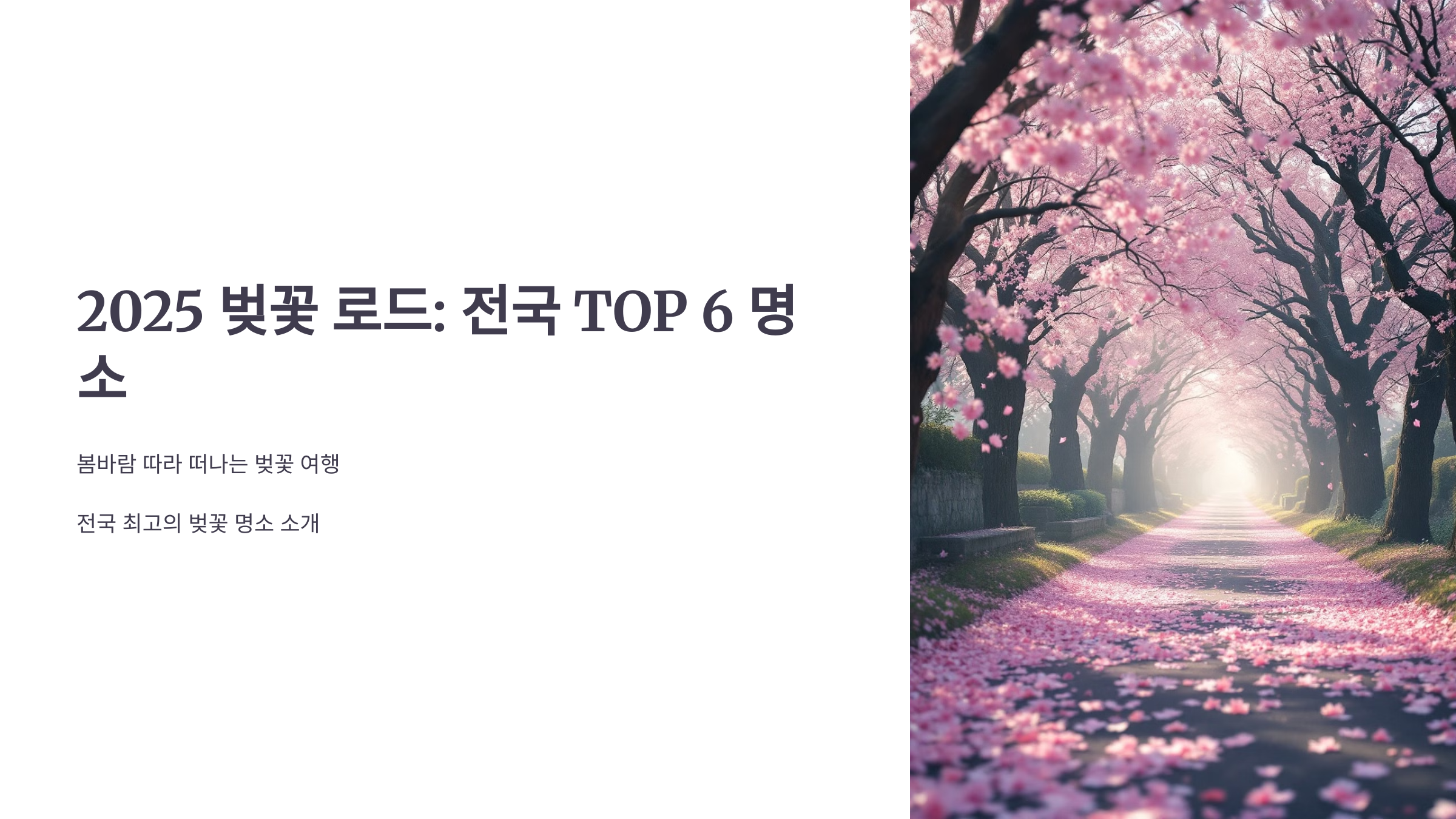 2025 벚꽃 로드: 전국 TOP 6 명소