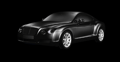 타이거차이나전기차 주가