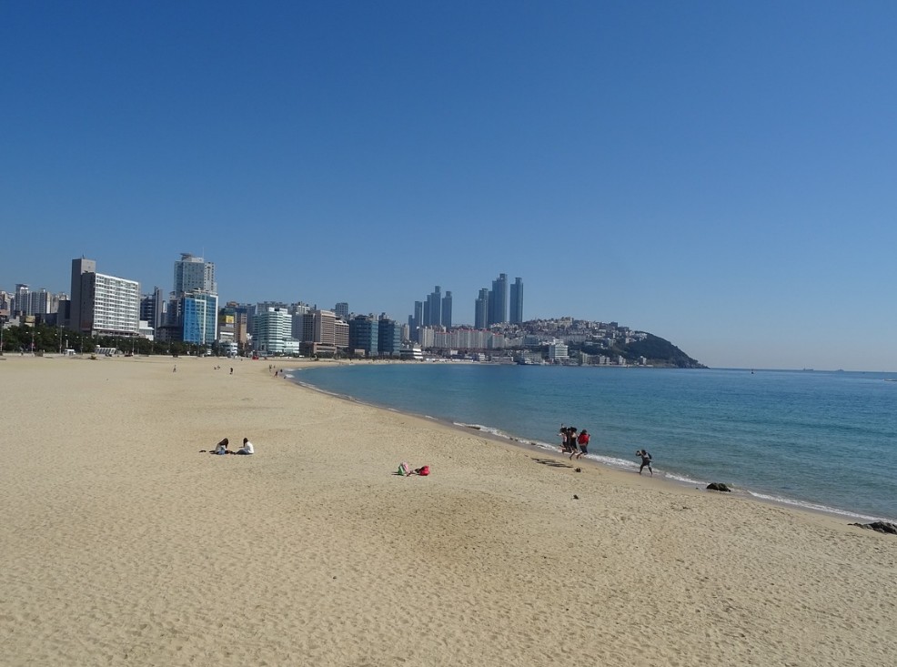 전국 해수욕장 개장