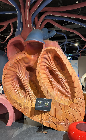 건강검진 결과표 보는 법 (수치별 의미 쉽게 정리)