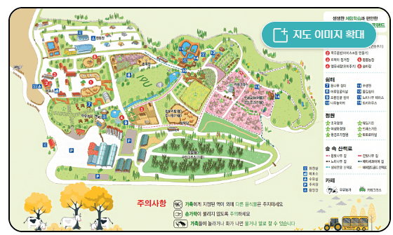 아그로랜드 태신목장 수레국화