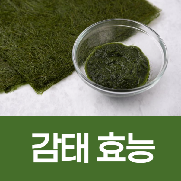 감태 효능 : 감태 효능과 부작용 알고 드세요!