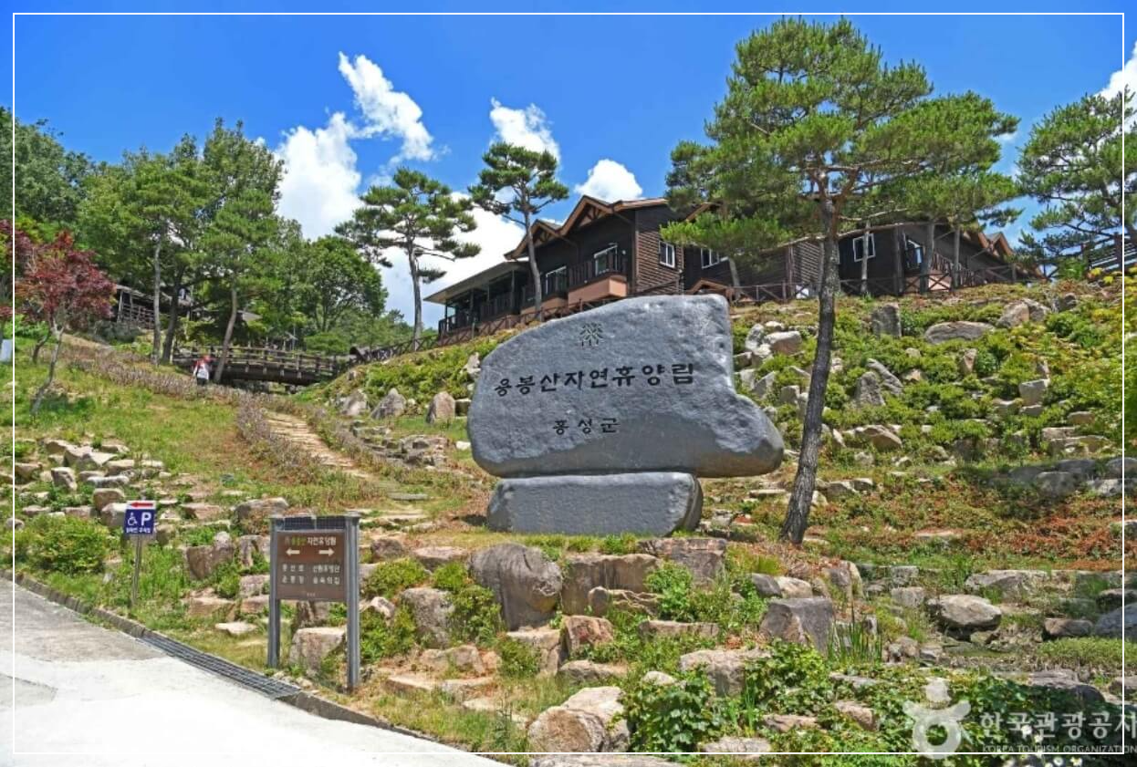 홍성 가볼만한곳 베스트10 용봉산 자연휴양림