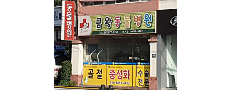 음성군 동물병원