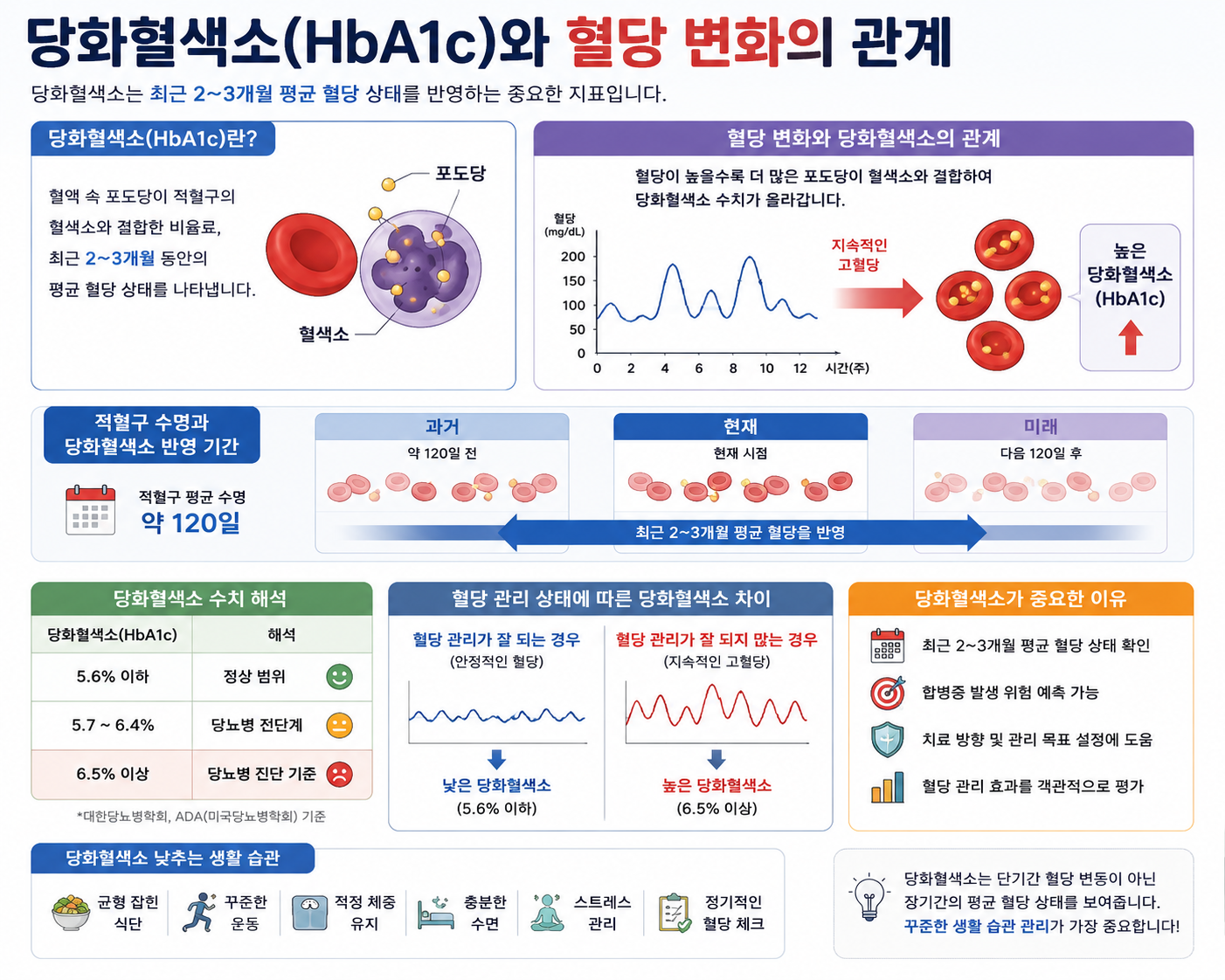 당화혈색소(HBA1C)와 혈당 변화의 관계