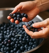 포도주 담그는 방법