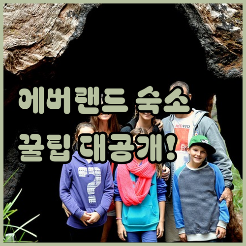 에버랜드 숙소 추천 5곳 가격대별 비..