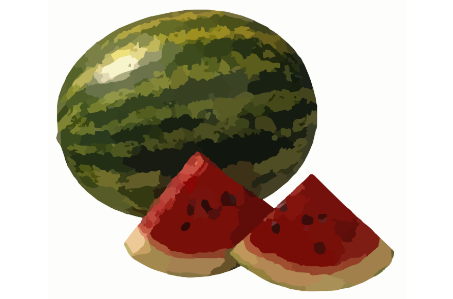 꼭 챙겨 먹어야 할 건강 음식 수박