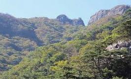 계룡산 국립공원 실시간 cctv