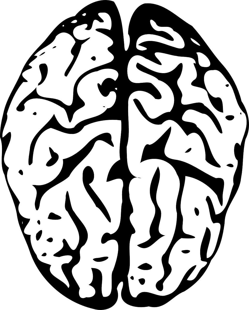 포스파티딜 세린 효능