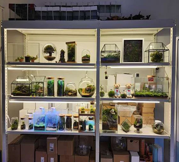 테라리움 디자인