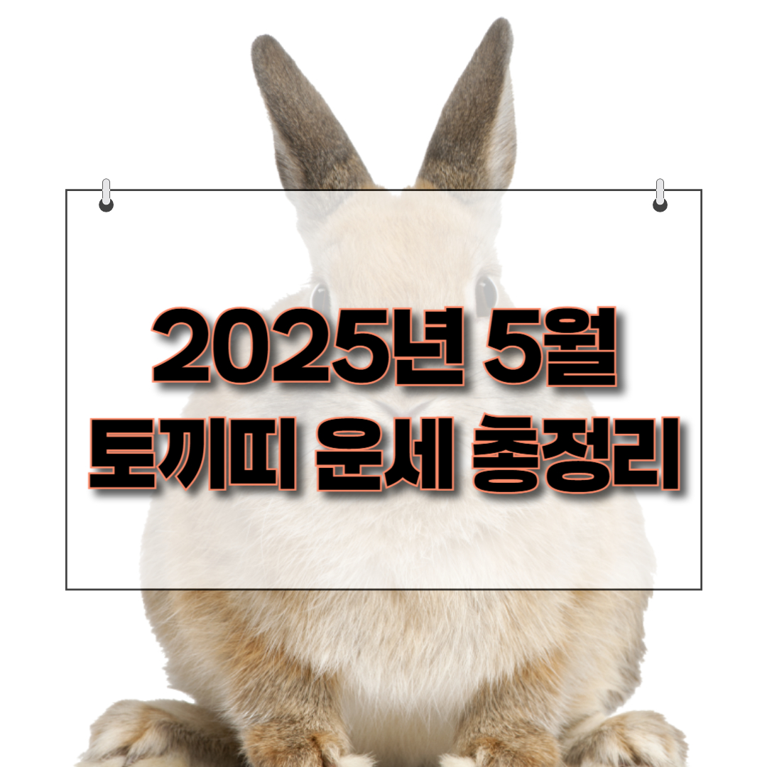 2025년 5월 토끼띠 운세 총정리 제목을 나타내는 썸네일 이미지