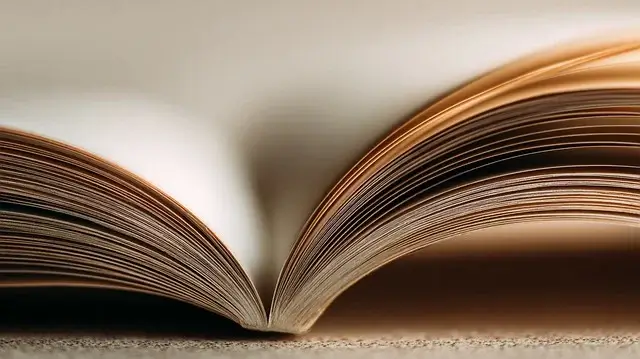 국비 교육으로 시작 가능한 프리랜서 직종