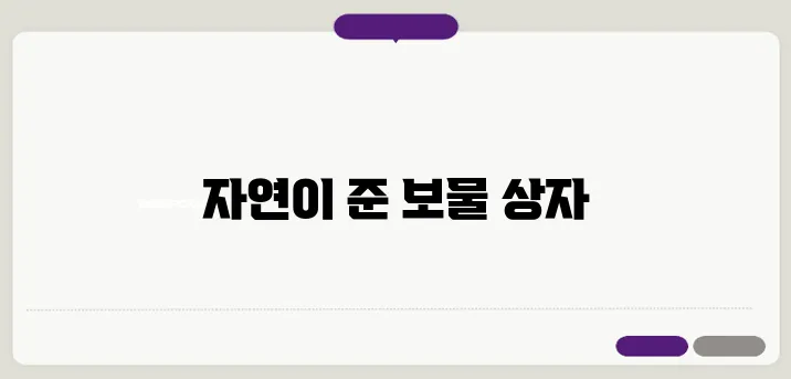 콜라비 효능 이보다 자세히 설명할순없다