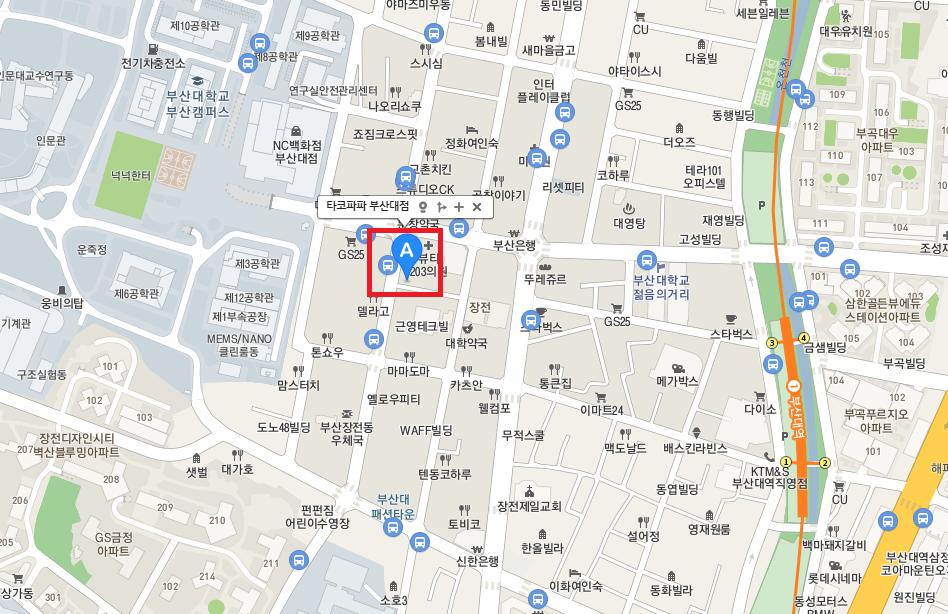 부산대 타코야끼 맛집, 타코파파 - 타코야키 마약 세트 (일반 6알+퐁듀 6알+치즈 6알) 네기 타코야끼