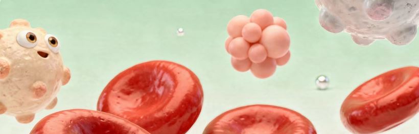 빈혈 수치 정상범위