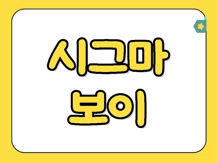 시그마 보이란?