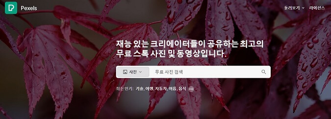 pexels-메인화면-설명하는-사진