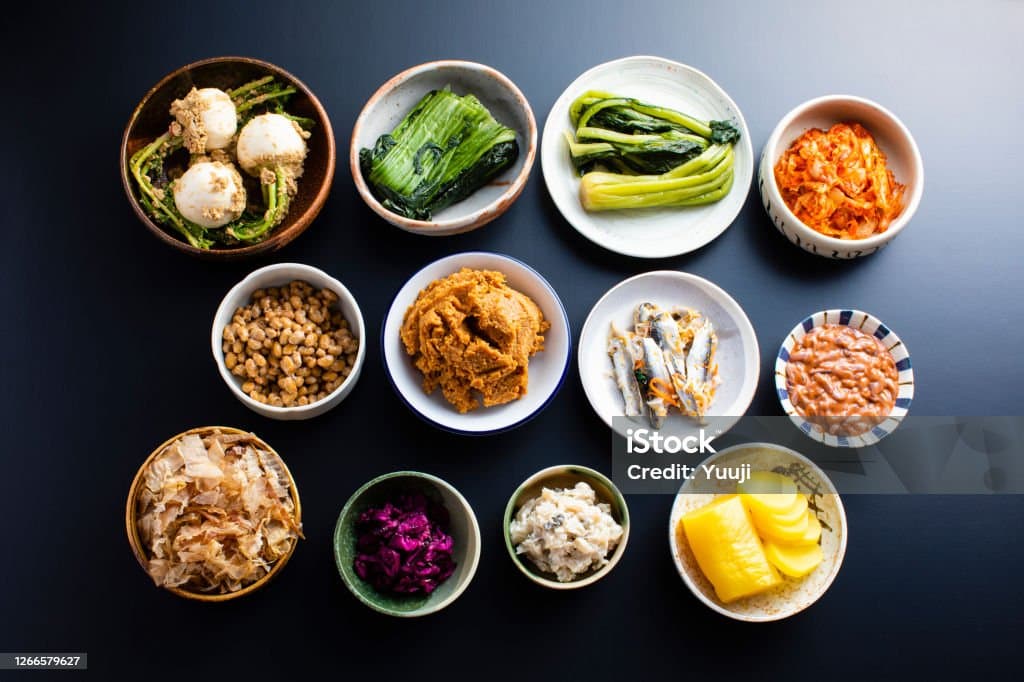 장 건강을 위한 1일 루틴: 과학적 근거에 기반한 실천 가이드