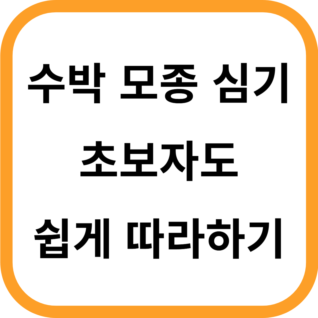 수박 모종