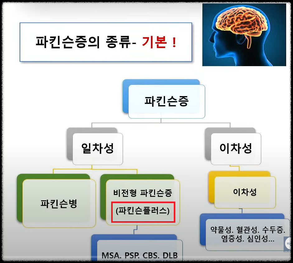 통상의 기본적인 분류 파킨슨증 환자