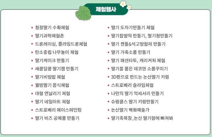 논산딸기축제 일정