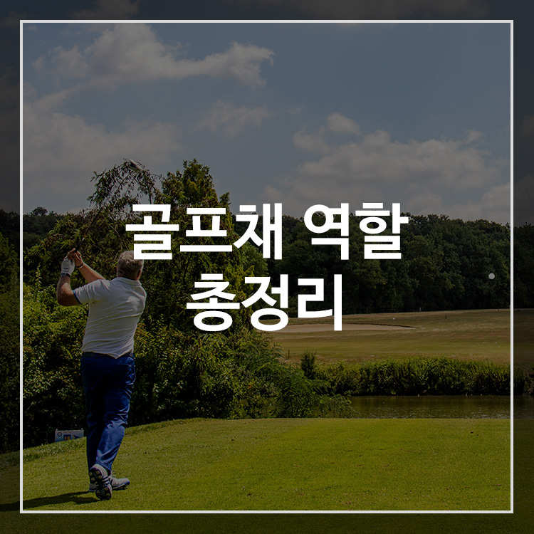 골프채 역할 총정리