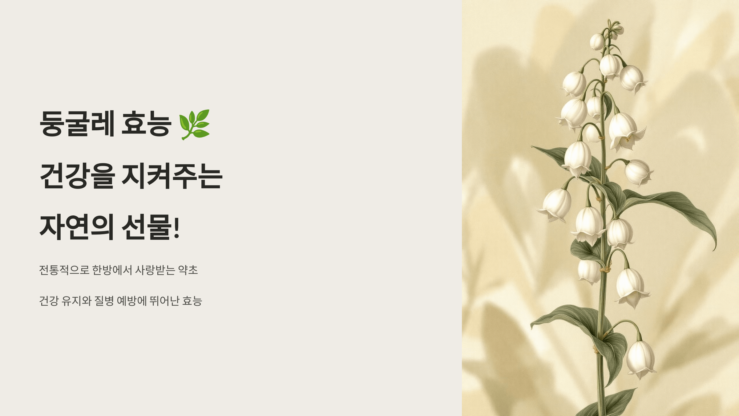 둥굴레 사진입니다.