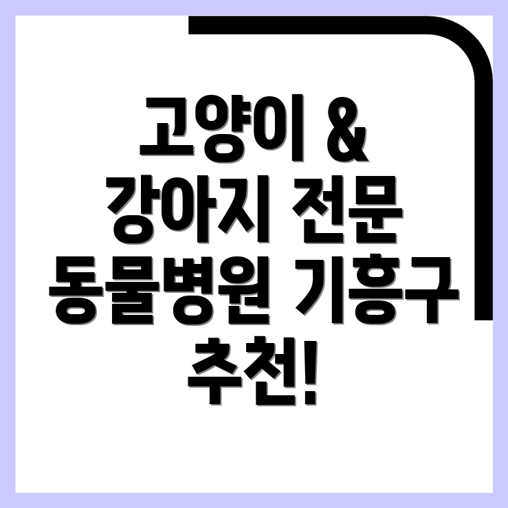용인 기흥구 동물병원