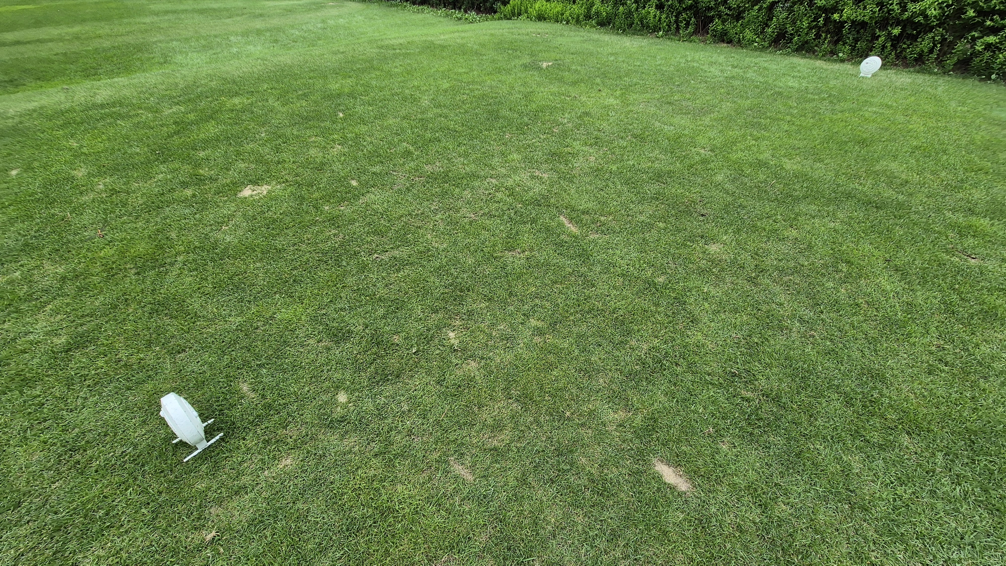 참밸리cc 라운드 후기