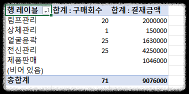 엑셀 피벗테이블 활용, 실무에서 바로 적용하는 매출 데이터 분석 자동화 핵심 도구 매출관리분석 피부관리실 샵 숍