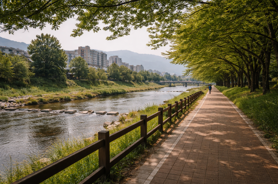 남원 요천 산책로의 강변길과 나무, 잔잔한 물가 분위기가 함께 보이는 모습