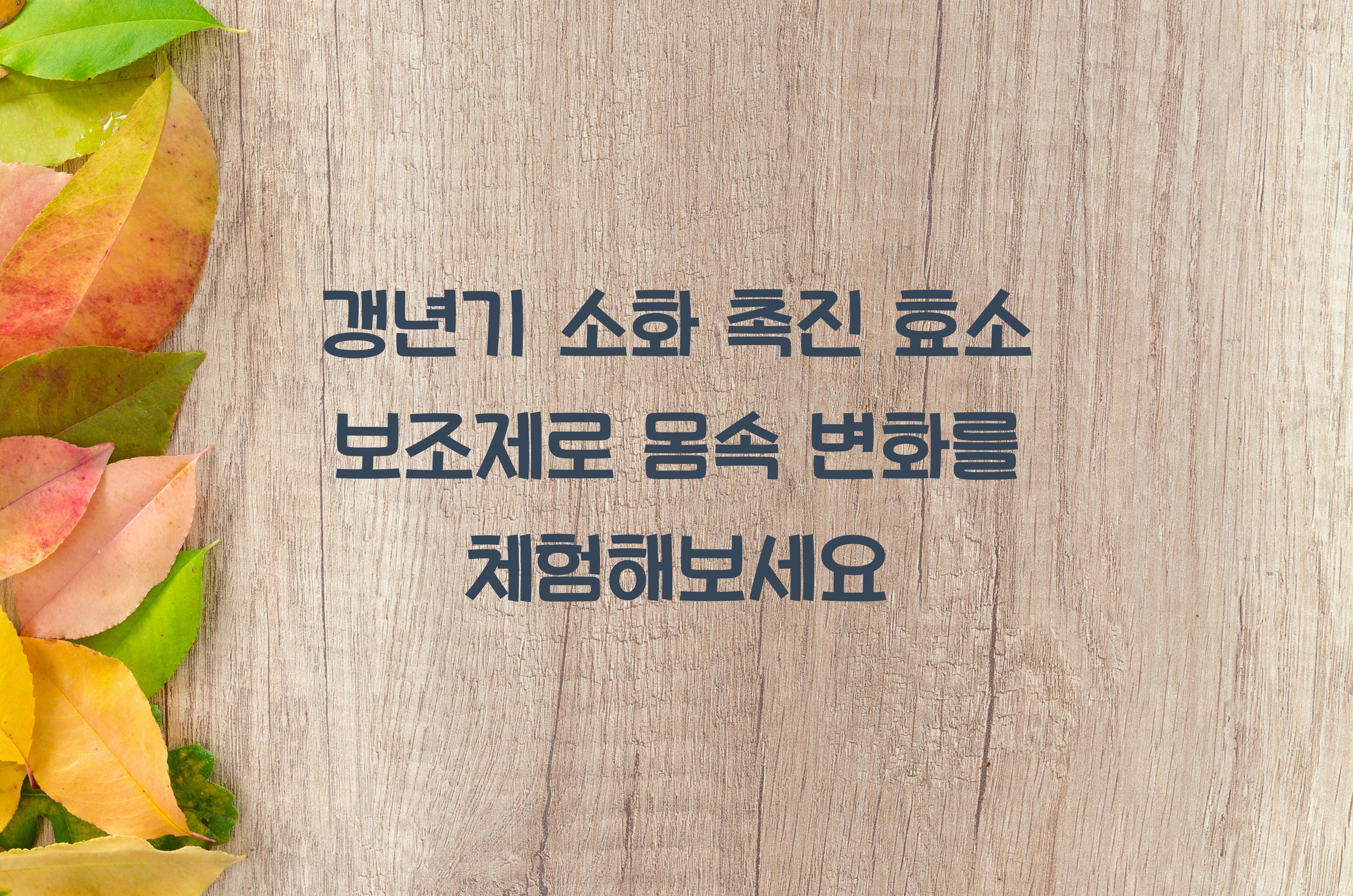 갱년기 소화 촉진 효소 보조제