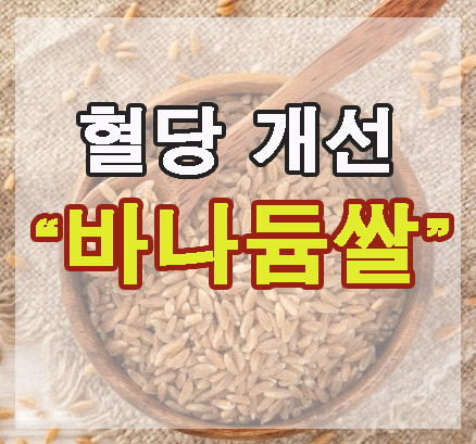 혈당개선 바나듐쌀