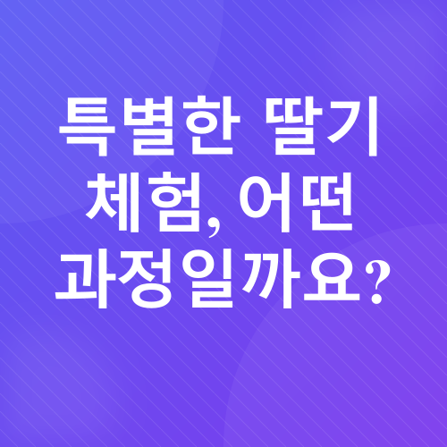 창녕 딸기 체험_2