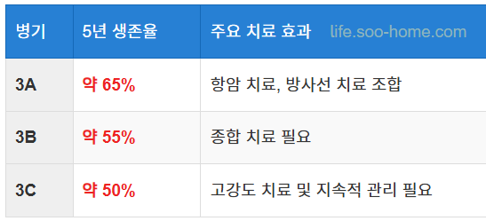 유방암 3기와 생존율 통계