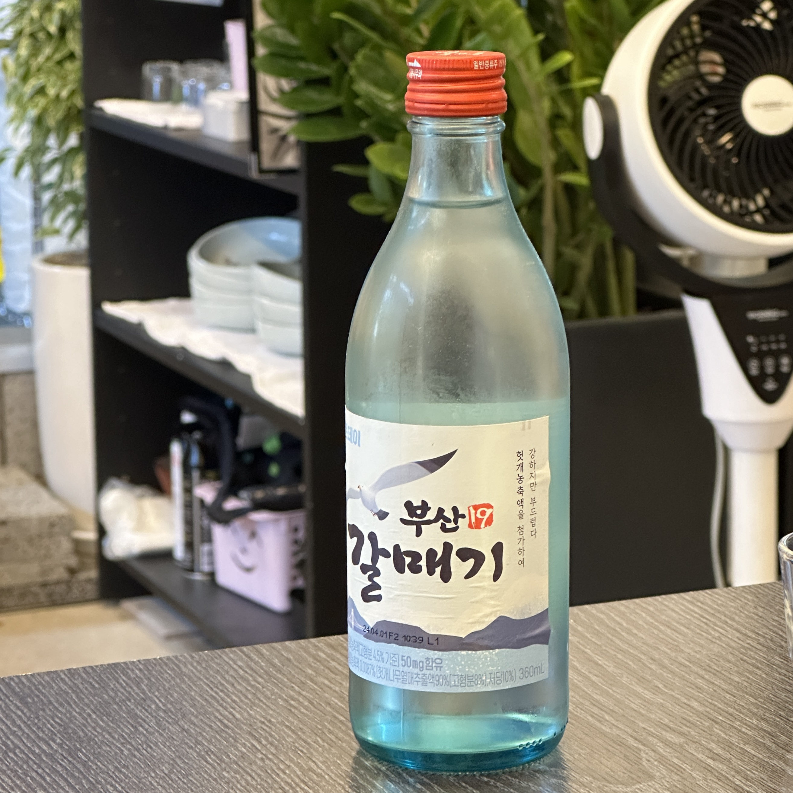 좋은데이_부산갈매기