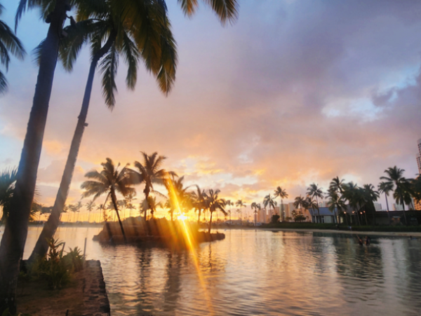 하와이 신혼여행