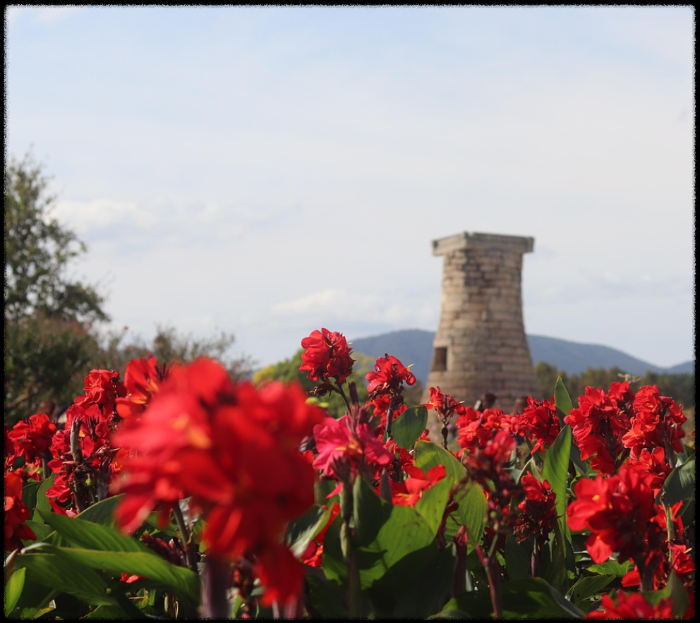 경주 가을여행 코스 짜는 법 (일정,이동,루트)