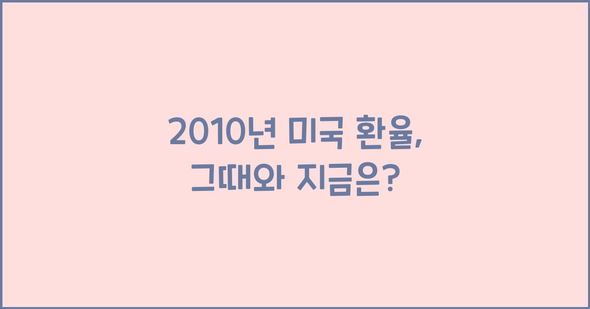 2010년 미국 환율