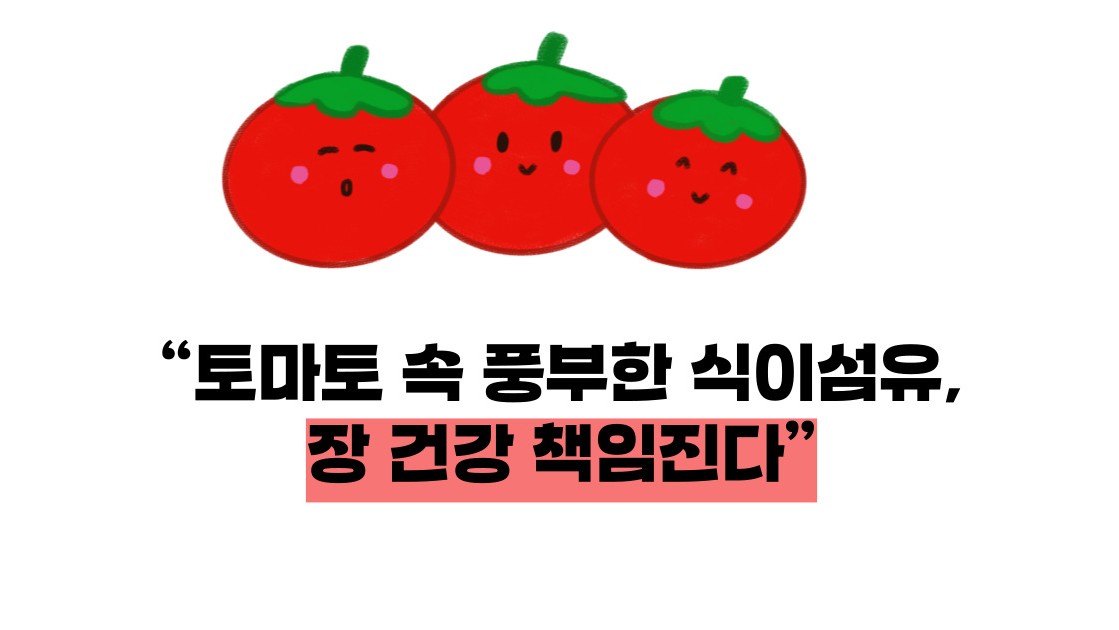 토마토 효능