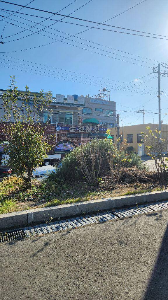 고흥 맛집 베스트 5