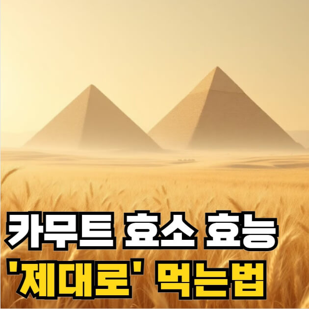카무트 효소 효능 먹는법