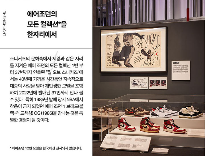 스니커드언박스드전시-3