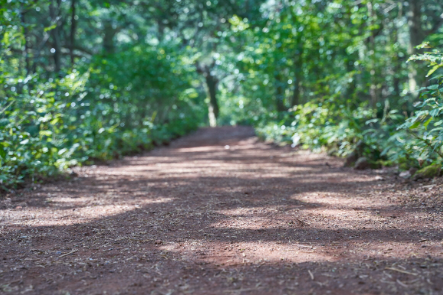제주도 가볼만한곳 10곳