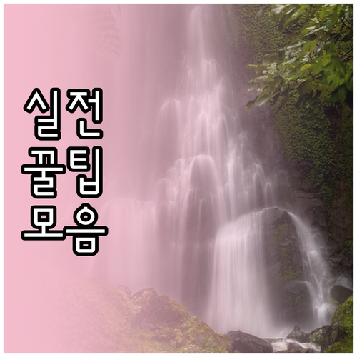 여행 숙소 최저가 찾는 법: 예약 플..