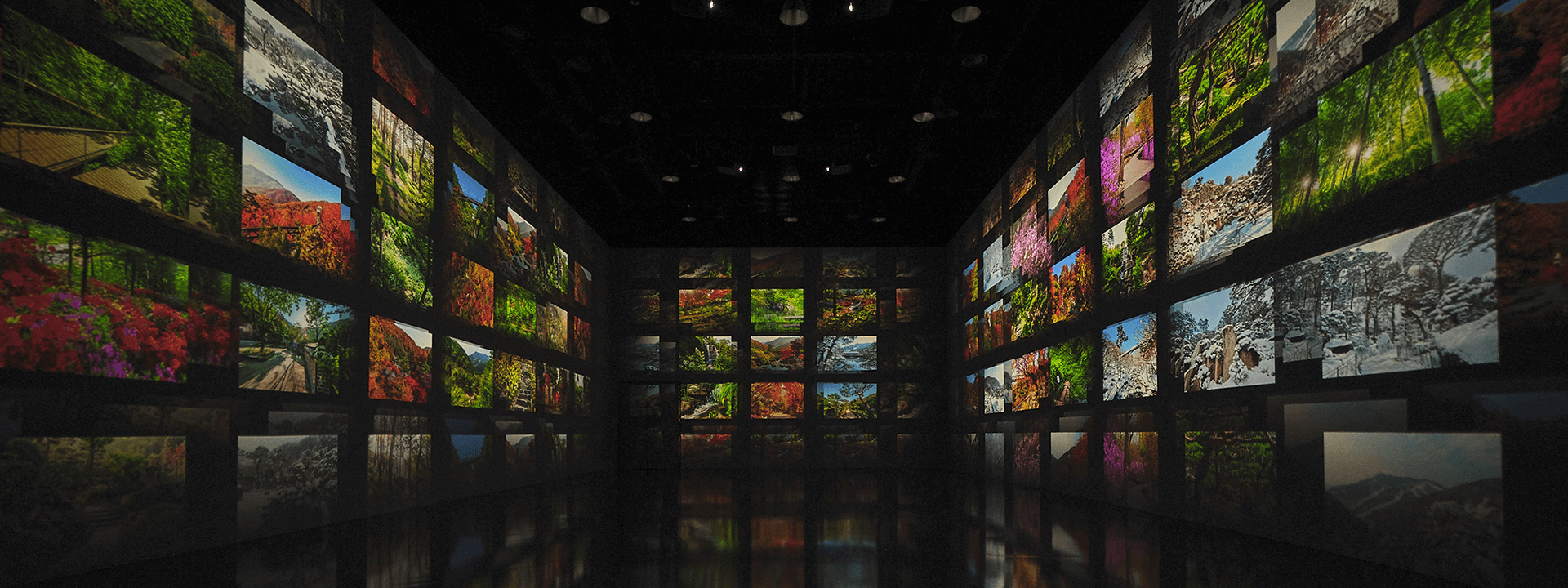 가을 단풍 명소 화담숲 예약방법, 기간, 입장료