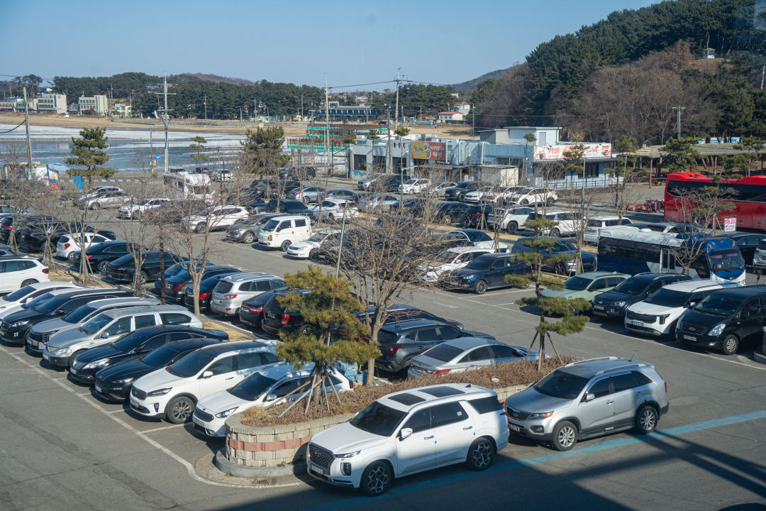 궁평항 수산물 직판장 주차장