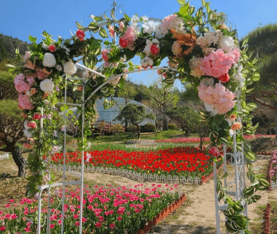 2025 하늘빛수목정원 튤립축제: 봄날의 로맨스를 담다!!